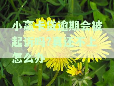 小赢卡贷逾期会被起诉吗?真还不上怎么办