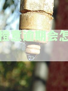 逾期未还款的橙花贷款多久会触发通讯录曝光？平安银行是否会采取起诉措？