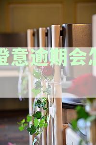 小橙意逾期会怎么样