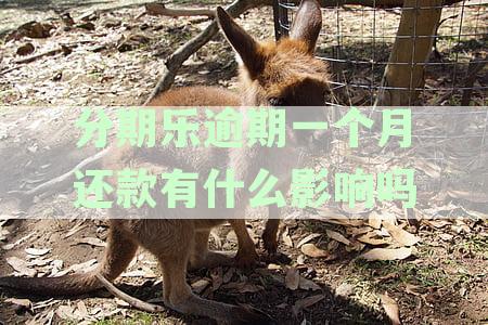 分期乐逾期一个月的可能后果及应对策略，了解这些避免信用受损