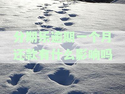 分期乐逾期一个月还款有什么影响吗