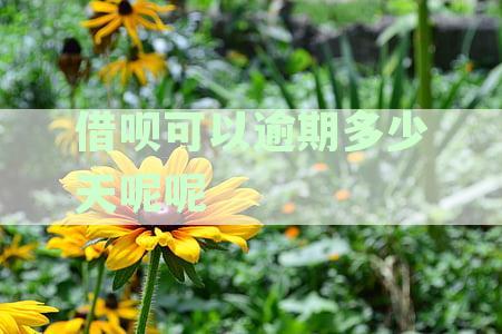 借呗逾期还款宽限期揭秘：最长时间及如何避免逾期影响