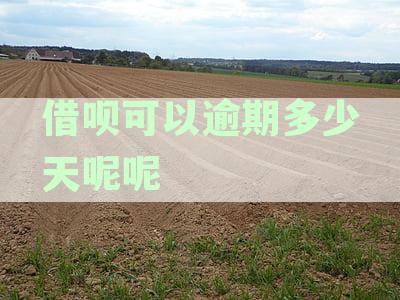 借呗最多可以逾期几天还款：探讨逾期天数与征信影响