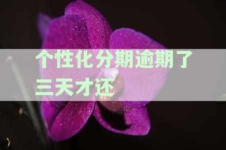 个性化分期逾期了三天才还