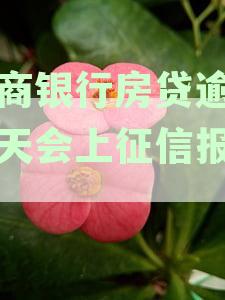 招商银行房贷逾期一天是否会影响个人征信？如何避免逾期产生的负面影响？