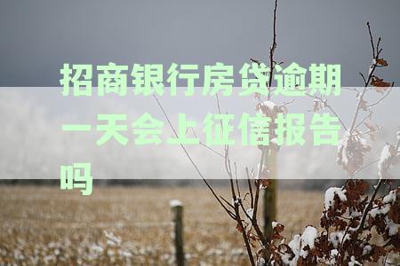 招商银行房贷逾期一分，是否会导致信用受损？