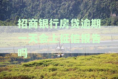 招商银行房贷逾期一天后，第二天会自动扣款吗？如何避免逾期产生额外费用？