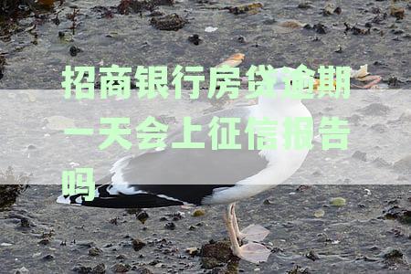 招商银行房贷逾期一天会上征信报告吗