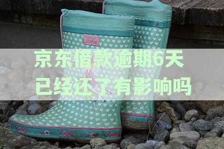 京东借款逾期3天：我应该如何处理？逾期后果是什么？还款策略有哪些？