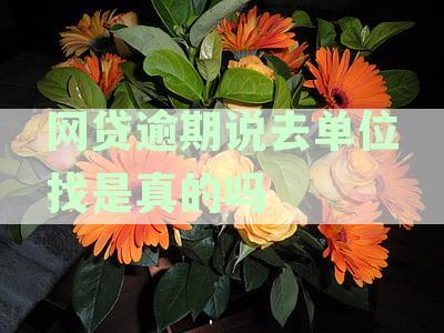 网贷逾期说去单位找是真的吗