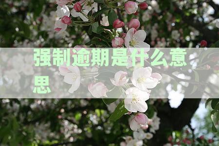 强制逾期是什么意思，步骤与执行及还款相关解释——理解逾期强制处理全貌