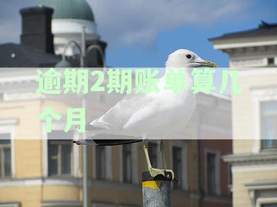 逾期两期账单算逾期几天：如何计算及对应月份