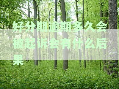 逾期还款后果：信用受损、法律责任还是坐牢？不还的严重性大揭秘