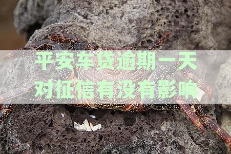 逾期两天的平安车贷：可能面临的银行后果与影响全解析
