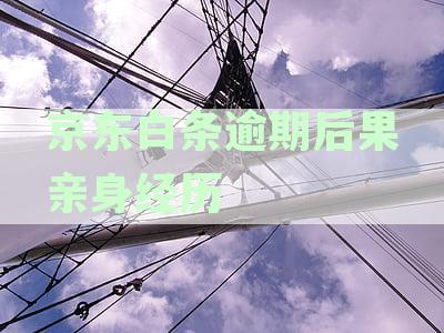 催收行为恶劣：解析原因、影响及应对策略
