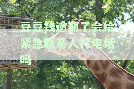 豆豆钱逾期6天，可能会联系紧急联系人进行催收吗？