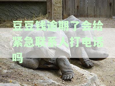 豆豆钱逾期后的处理方式：通讯录被轰炸及其他可能的联系方式