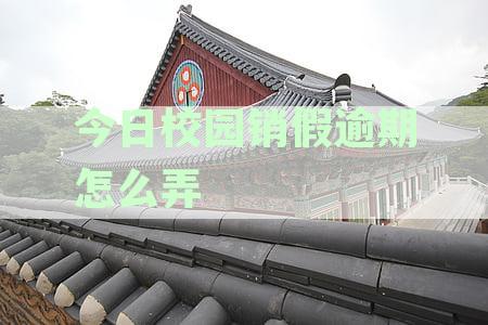 校园请假逾期问题解决之道：今日销假技巧大揭秘