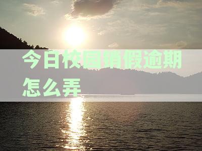 今日校园销假时限规则，如何操作？