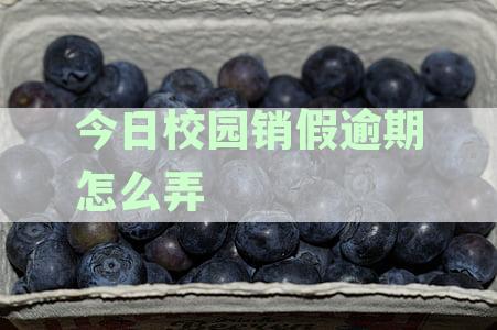 校园销假逾期解决指南：可逾期期限、影响及应对策略一文搞定！