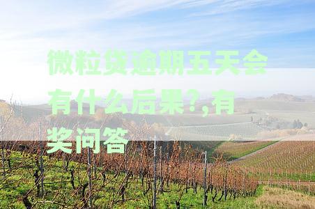 微粒贷逾期五天会有什么后果?,有奖问答