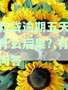 微粒贷逾期五天会有什么后果?,有奖问答