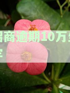 招商逾期10万的法律责任与可能的刑期：全面解析及避免逾期策略