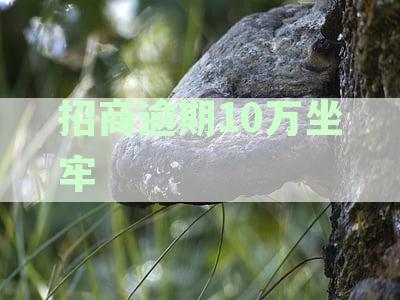 招商逾期10万坐牢：解决方法与时间长度