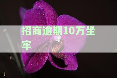 招商银行欠款逾期多年，如何解决？还款期限、方法和影响全解析