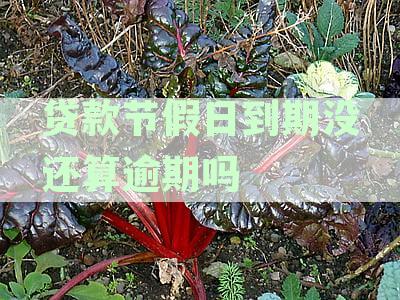 贷款到期节假日顺吗？如何计算？-真相解析与依据