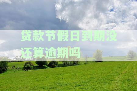 节假日贷款顺：到期日攻略与应对策略
