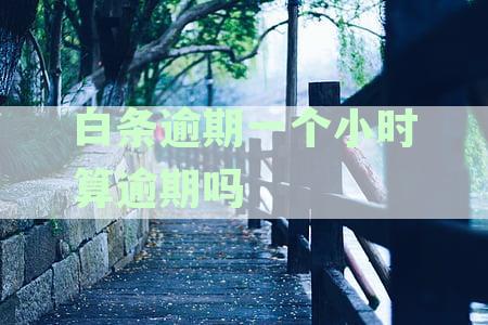 白条逾期一个小时算逾期吗
