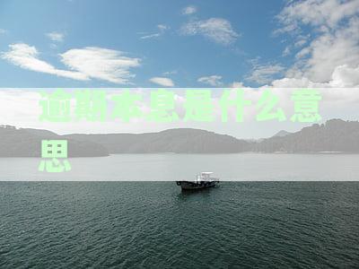 逾期本息是什么意思