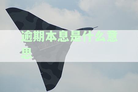逾期本金：理解信用卡债务的关键计算和还款策略