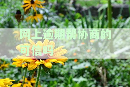 网贷还款难题：逾期后的有效协商及期还款策略