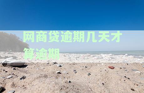 网商贷逾期还款期限与处理策略详解