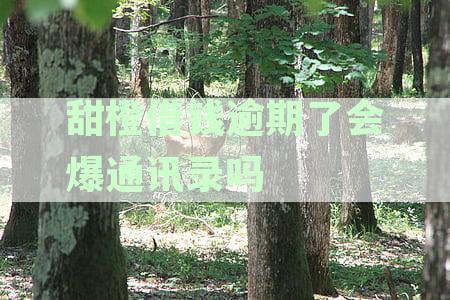 甜橙借钱逾期几天会上征信：逾期三天是否会起诉以及对信用的影响？