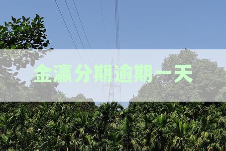 金瀛分期逾期一天