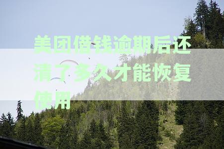 美团借钱逾期后还款成功，何时可以恢复信用额度及使用条件？