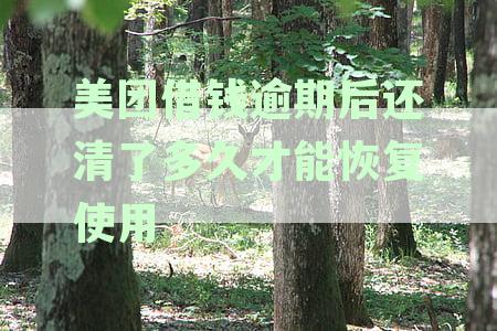 美团借钱客户逾期还款后，何时能再次借款？