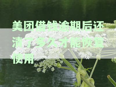 美团借钱逾期后还清了多久才能恢复使用