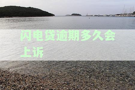 闪电贷逾期后的法律诉讼时间线：什么情况下会被上诉至法院？