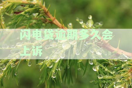 闪电贷逾期多久会被起诉-闪电贷逾期多久会被起诉么