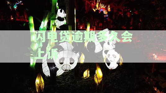 闪电贷逾期还款时间及征信影响全面解析，助您避免逾期困扰