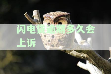 闪电贷逾期多久会上诉