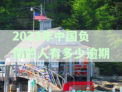 XXXX年全国信用卡负债逾期人数统计数据
