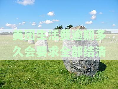 美团生活费逾期多久会要求全部结清：征信影响与还款策略