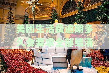 新美团生活费逾期后多久会一次性要求全额还款？