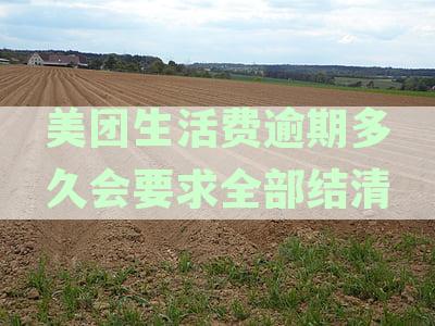美团生活费逾期多久会上报征信：记录与清偿全解析