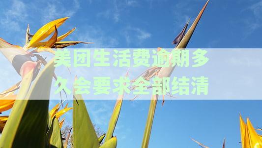 美团生活费逾期还款后，资金何时能再次取出？如何操作使其成为可用金额？